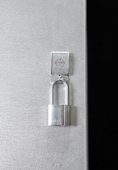 Quarter Turn Padlockable Cover Stainless Steel - Image 4